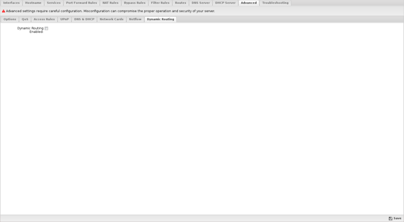 File:1600x1080 config network advanced dynamic routing.png