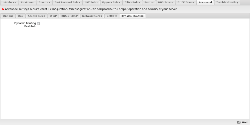 File:1200x800 config network advanced dynamic routing.png